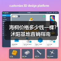 海桐价格多少钱一棵？沭阳基地直销指南（图4）