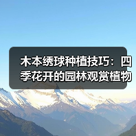 木本绣球种植技巧：四季花开的园林观赏植物（图4）