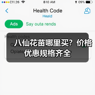 八仙花苗哪里买？价格优惠规格齐全（图2）