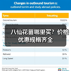 八仙花苗哪里买？价格优惠规格齐全（图4）