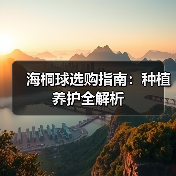 海桐球选购指南：种植养护全解析（图1）