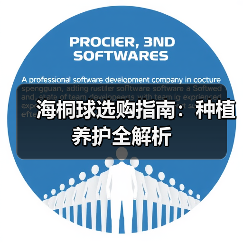 海桐球选购指南：种植养护全解析（图3）