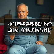 小叶黄杨造型树选购全攻略：价格规格与养护技巧（图2）