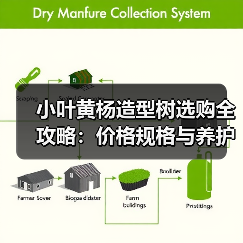 小叶黄杨造型树选购全攻略：价格规格与养护技巧（图3）
