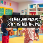 小叶黄杨造型树选购全攻略：价格规格与养护技巧（图4）
