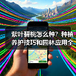 紫叶碧桃怎么种？种植养护技巧和园林应用全解析（图1）