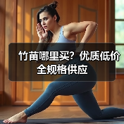 竹苗哪里买？优质低价全规格供应（图2）