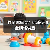 竹苗哪里买？优质低价全规格供应（图1）