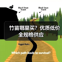 竹苗哪里买？优质低价全规格供应（图4）