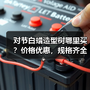 对节白蜡造型树哪里买？价格优惠，规格齐全，现货供应（图2）