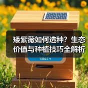 矮紫薇如何选种?生态价值与种植技巧全解析(图3) 矮紫薇如何选种?生态价值与种植技巧全解析(图3)