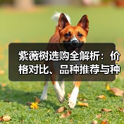 紫薇树选购全解析：价格对比、品种推荐与种植技巧（图1）