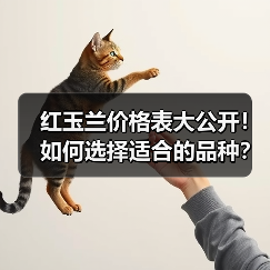 红玉兰价格表大公开！如何选择适合的品种？（图4）