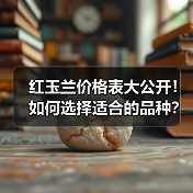 红玉兰价格表大公开！如何选择适合的品种？（图3）