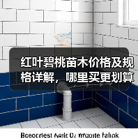红叶碧桃苗木价格及规格详解，哪里买更划算？（图2）