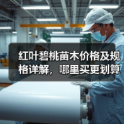 红叶碧桃苗木价格及规格详解,哪里买更划算?(图1) 红叶碧桃苗木价格及规格详解,哪里买更划算?(图1)