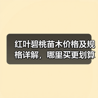 红叶碧桃苗木价格及规格详解，哪里买更划算？（图4）