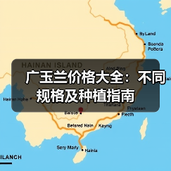 广玉兰价格大全：不同规格及种植指南（图1）