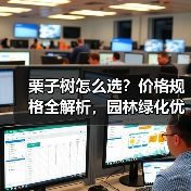 栗子树怎么选？价格规格全解析，园林绿化优选（图3）