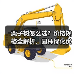 栗子树怎么选？价格规格全解析，园林绿化优选（图4）