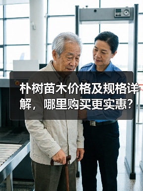 朴树苗木价格及规格详解，哪里购买更实惠？（图3）