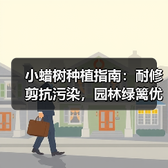 小蜡树种植指南：耐修剪抗污染，园林绿篱优选（图1）