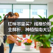 红榉哪里买？规格价格全解析，种植指南大公开（图1）