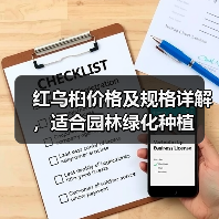 红乌桕价格及规格详解，适合园林绿化种植（图1）