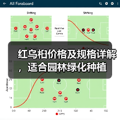 红乌桕价格及规格详解，适合园林绿化种植（图4）