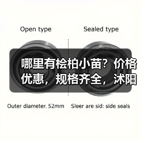 哪里有桧柏小苗？价格优惠，规格齐全，沭阳直供！（图1）