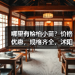 哪里有桧柏小苗?价格优惠,规格齐全,沭阳直供!(图3) 哪里有桧柏小苗?价格优惠,规格齐全,沭阳直供!(图3)
