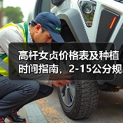 高杆女贞价格表及种植时间指南，2-15公分规格齐全（图3）