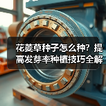 花菱草种子怎么种?提高发芽率种植技巧全解析(图3) 花菱草种子怎么种?提高发芽率种植技巧全解析(图3)