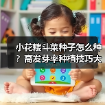小花耧斗菜种子怎么种?高发芽率种植技巧大揭秘(图2) 小花耧斗菜种子怎么种?高发芽率种植技巧大揭秘(图2)