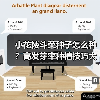 小花耧斗菜种子怎么种？高发芽率种植技巧大揭秘（图4）