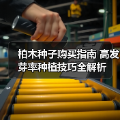 柏木种子购买指南 高发芽率种植技巧全解析（图1）