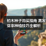 柏木种子购买指南 高发芽率种植技巧全解析(图3) 柏木种子购买指南 高发芽率种植技巧全解析(图3)