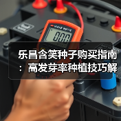 乐昌含笑种子购买指南:高发芽率种植技巧解析(图2) 乐昌含笑种子购买指南:高发芽率种植技巧解析(图2)