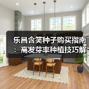 乐昌含笑种子购买指南:高发芽率种植技巧解析(图3) 乐昌含笑种子购买指南:高发芽率种植技巧解析(图3)
