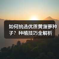 如何挑选优质黄菠萝种子？种植技巧全解析（图1）