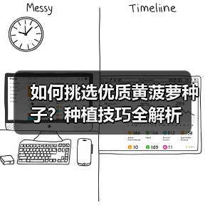 如何挑选优质黄菠萝种子?种植技巧全解析(图2) 如何挑选优质黄菠萝种子?种植技巧全解析(图2)