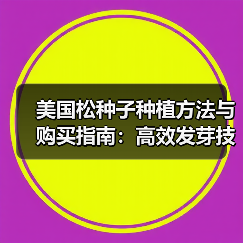 美国松种子种植方法与购买指南：高效发芽技巧解析（图3）