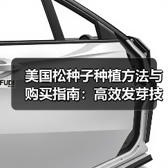 美国松种子种植方法与购买指南：高效发芽技巧解析（图4）