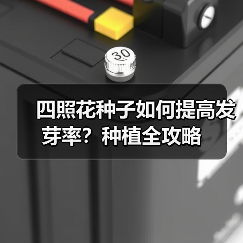 四照花种子如何提高发芽率？种植全攻略（图2）