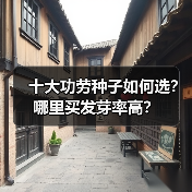 十大功劳种子如何选？哪里买发芽率高？（图4）