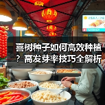 喜树种子如何高效种植？高发芽率技巧全解析（图3）