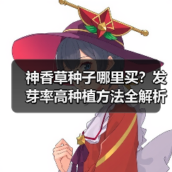 神香草种子哪里买？发芽率高种植方法全解析（图4）