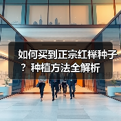 如何买到正宗红榉种子?种植方法全解析(图2) 如何买到正宗红榉种子?种植方法全解析(图2)