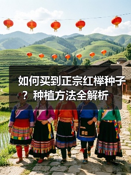 如何买到正宗红榉种子？种植方法全解析（图1）