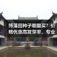 博落回种子哪里买？价格优惠高发芽率，专业种植指导保障（图1）